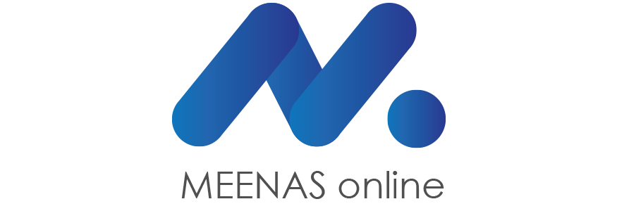 MEENA Business Consultancy Services